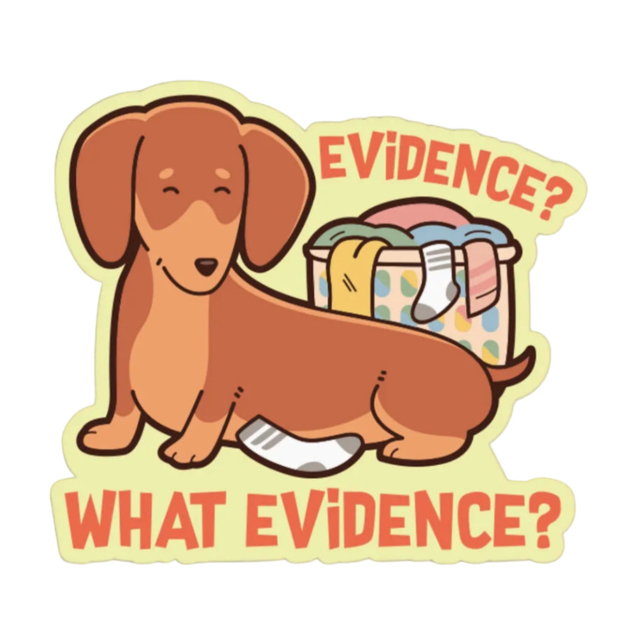 WinnieDog Evidence